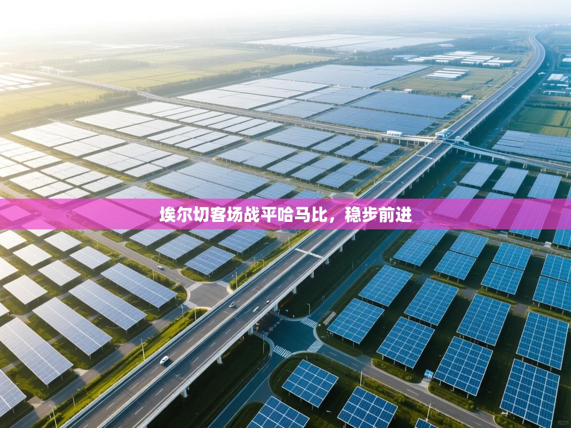 埃尔切客场战平哈马比，稳步前进