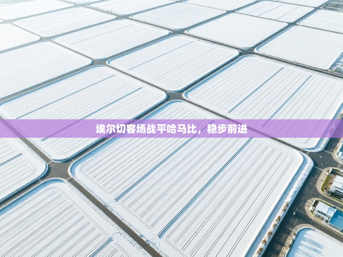 埃尔切客场战平哈马比,稳步前进 第2张